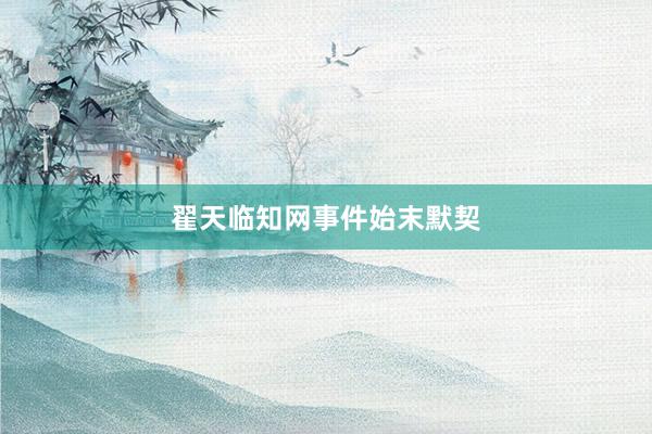 翟天临知网事件始末默契