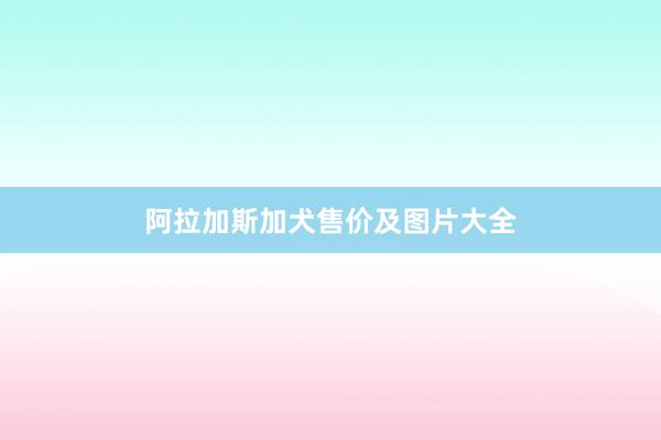 阿拉加斯加犬售价及图片大全