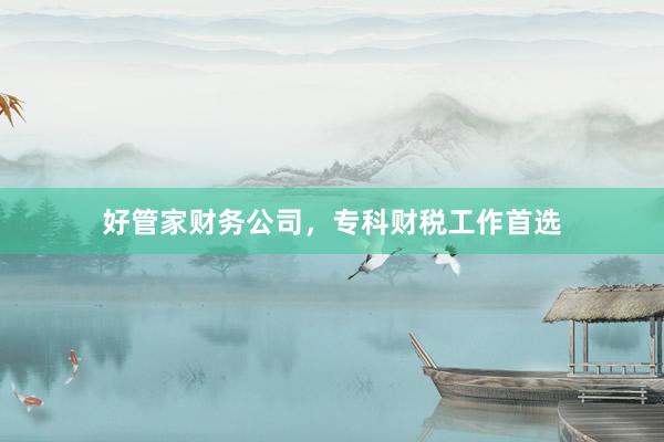 好管家财务公司，专科财税工作首选